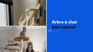 arbre a chat bois naturel