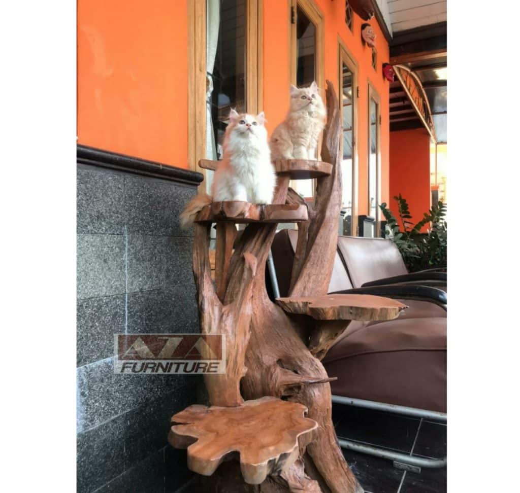 arbre a chat naturel teck