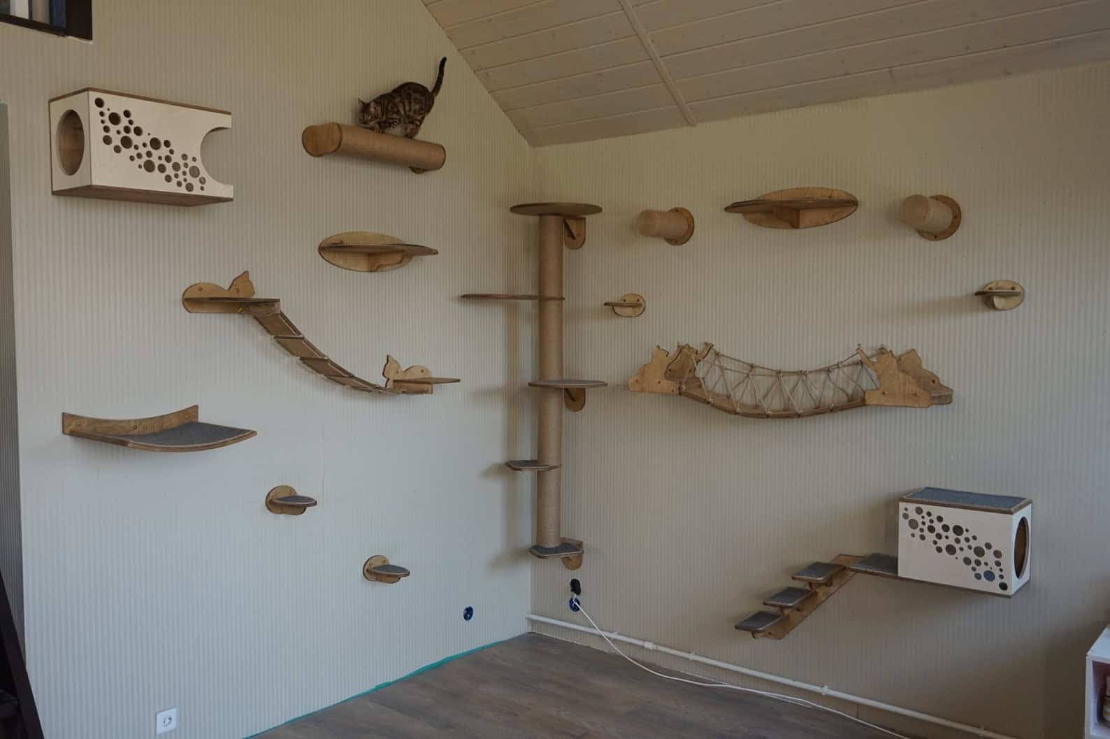 Parcours mural du chat aménager un espace félin complet