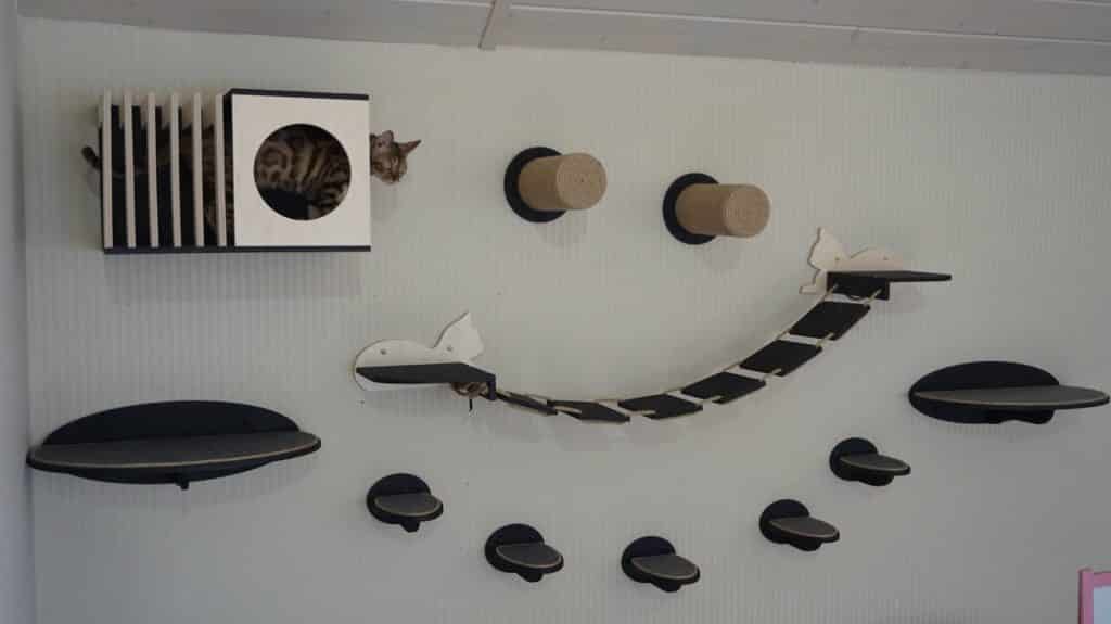 parcours mural etageres niche pont lattes griffoir