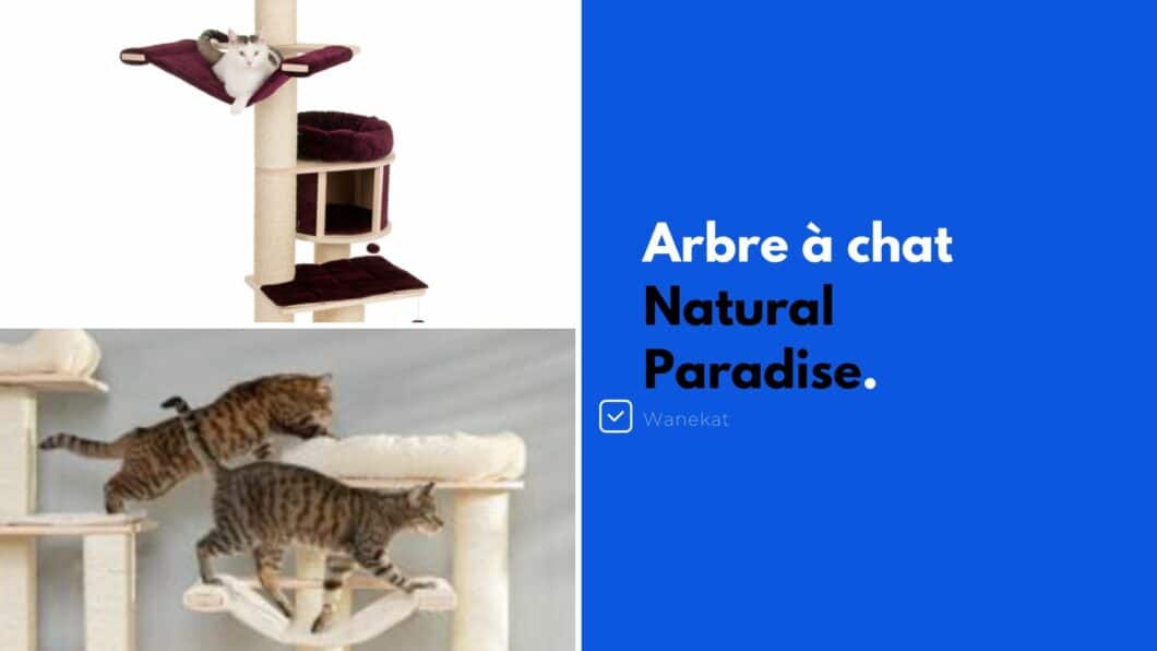 marque arbre a chat natural paradise