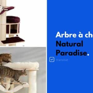 marque arbre a chat natural paradise