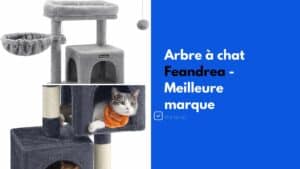arbre a chat feandrea