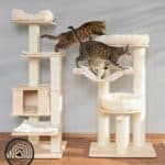 arbre a chat scandinave natural paradise