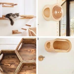 arbre a chat mural se decline dans differents assemblages