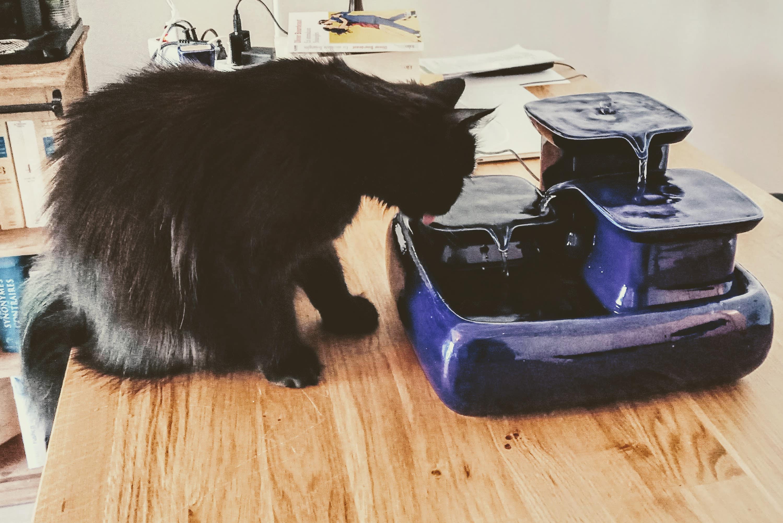 fontaine au look original et authentique