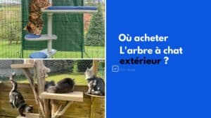 arbre a chat d'exterieur