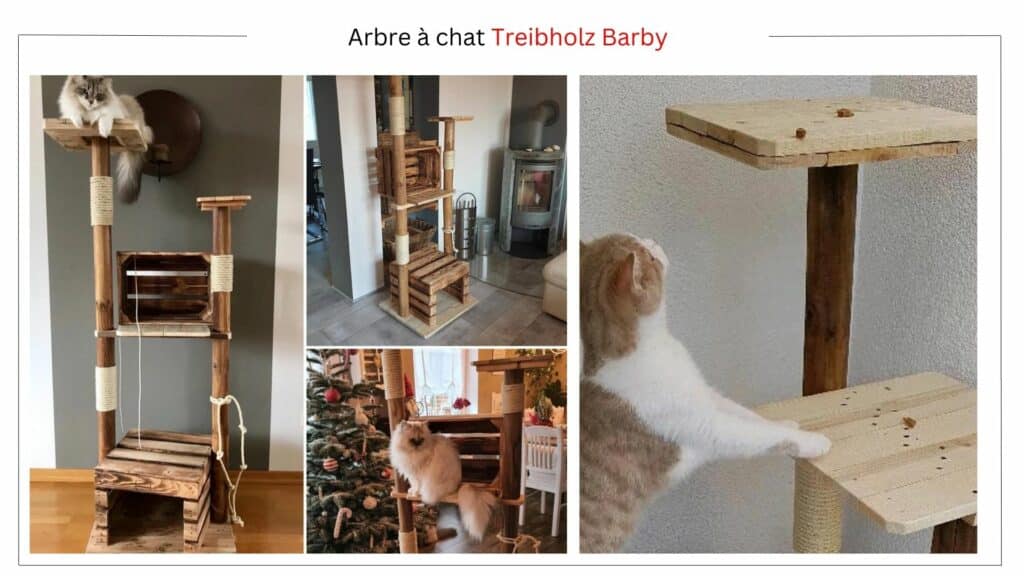 arbre a chat exterieur Treibholz Barby
