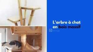 arbre a chat bois massif