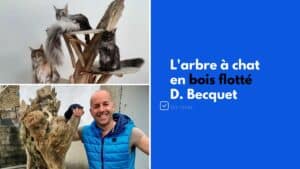arbre a chat en bois flotte david becquet