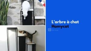 arbre a chat marque homycat