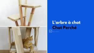 chat perche arbre a chat