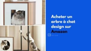 amazon acheter arbre a chat design
