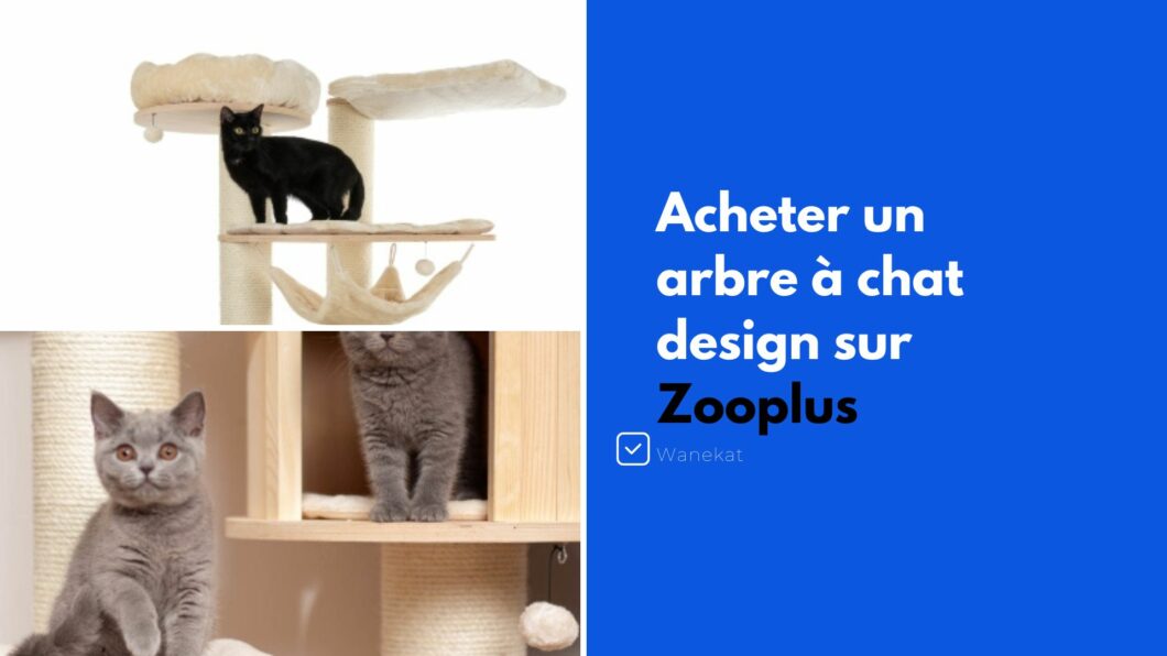 zooplus acheter arbre a chat design