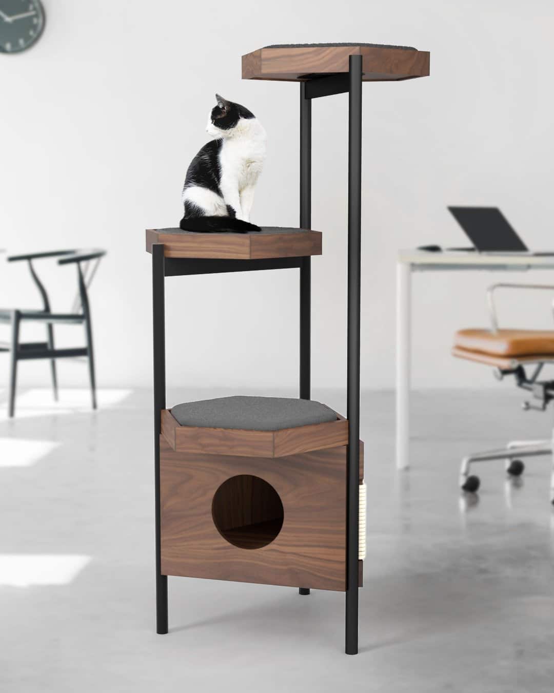 arbre a chat design mexique zulo