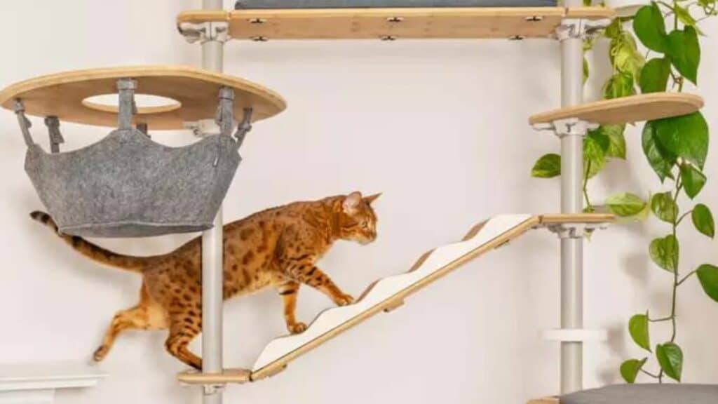 arbre a chat modulaire sur mesure