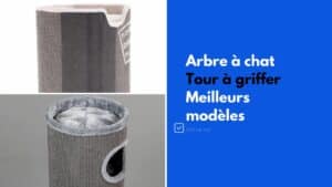 arbre à chat tour a griffer meilleurs modèles