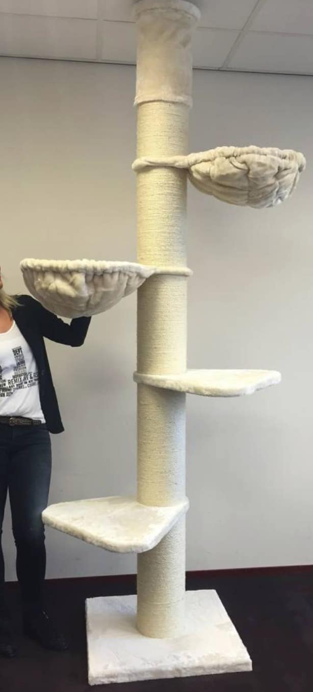 arbre a chat xxl main coon tower 2 plateformes 2 hamacs rhrquality