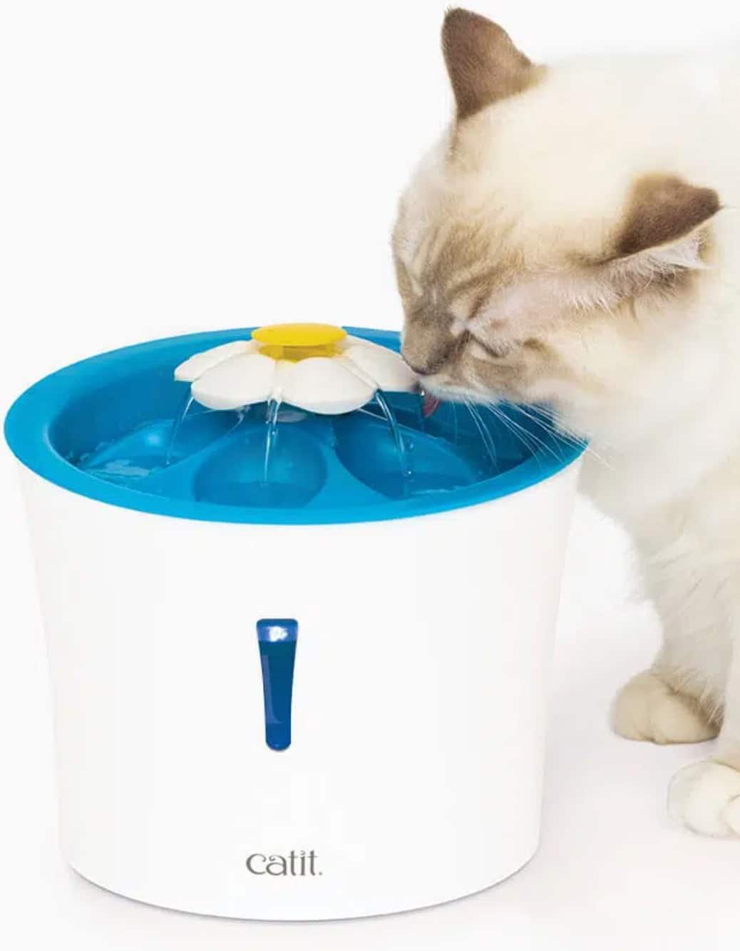 fontaine eau chat cat it fleur veilleuse