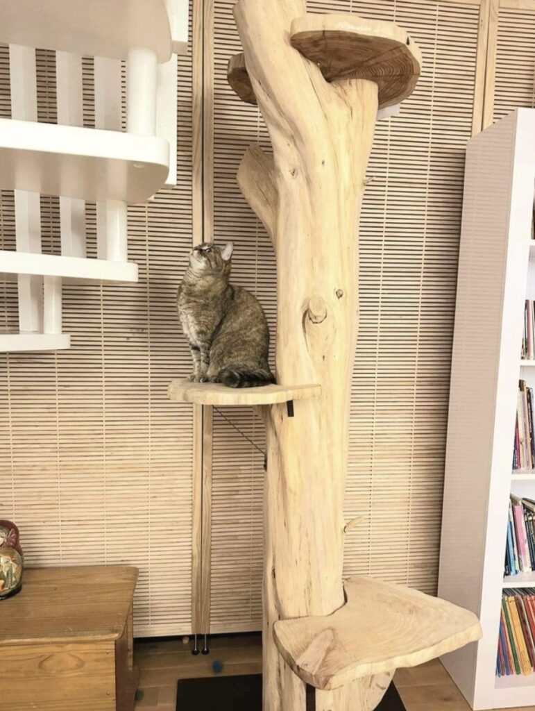 arbre a chat design decoratif gros tronc central