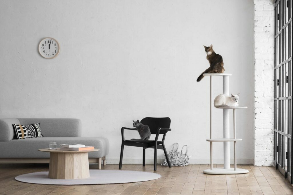 arbre a chat design maison contemporaine
