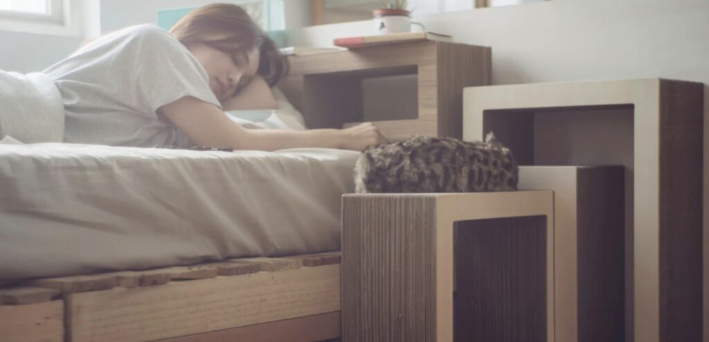 partager le mobilier felin pour une fusion totale du confort