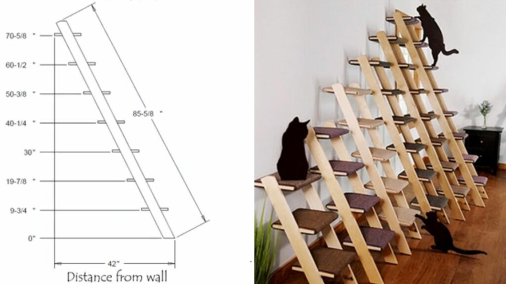 arbre a chat cat ladder echelle