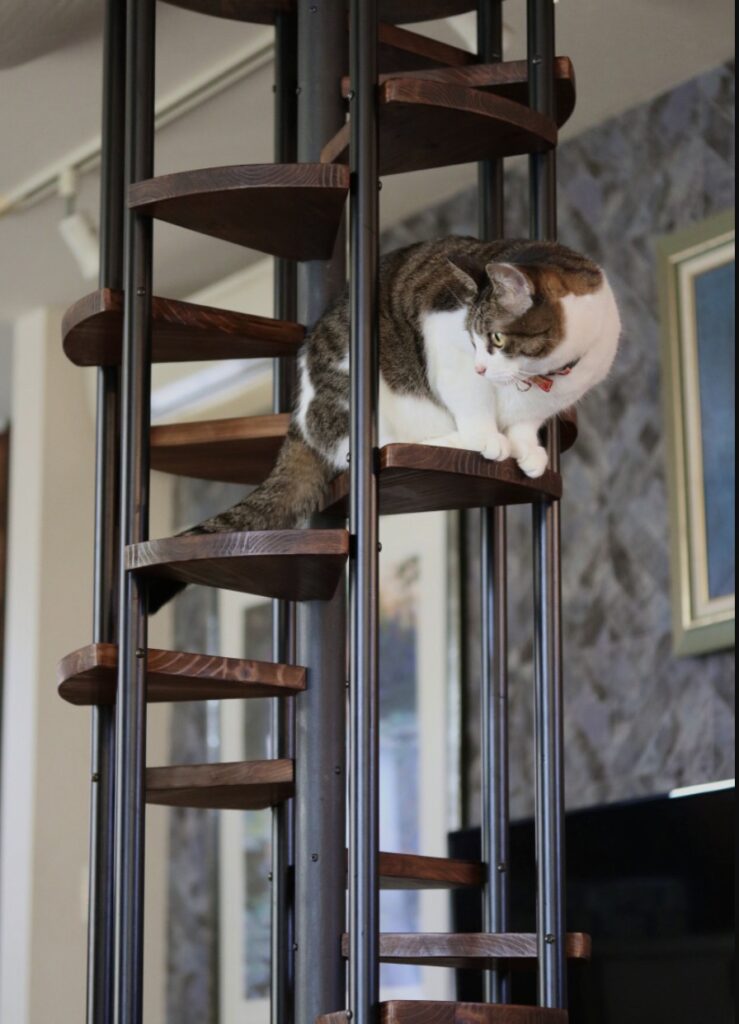 arbre a chat escalier bois et metal