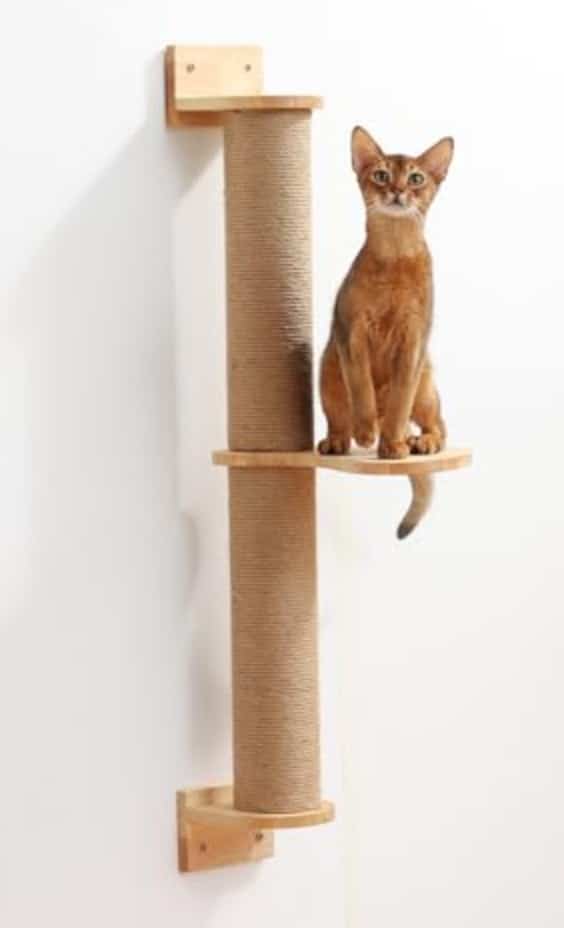 meilleur arbre a chat mural vertical pilier pas cher