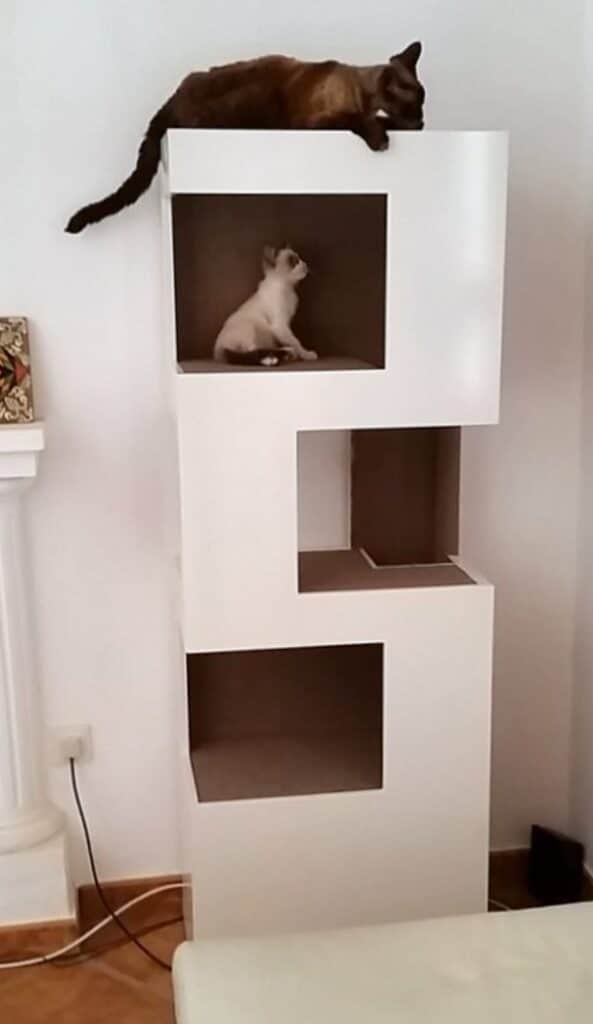 arbre a chat design classement the one xl cat tower