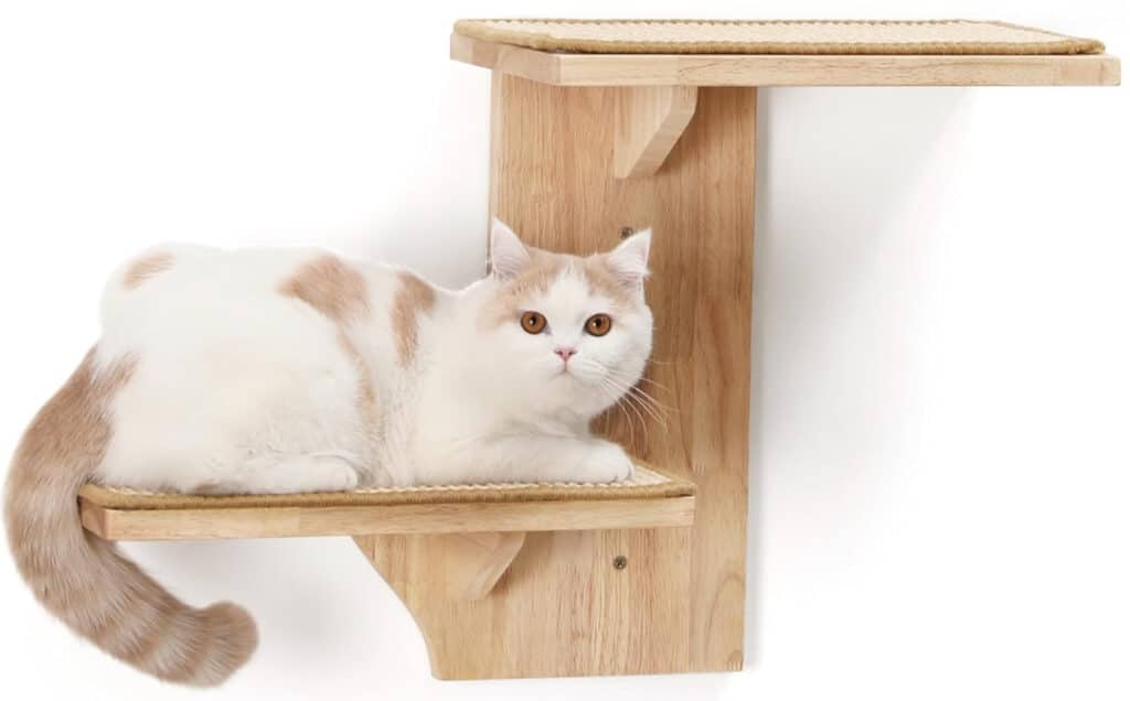 meilleure plateforme murale verticale pour chat