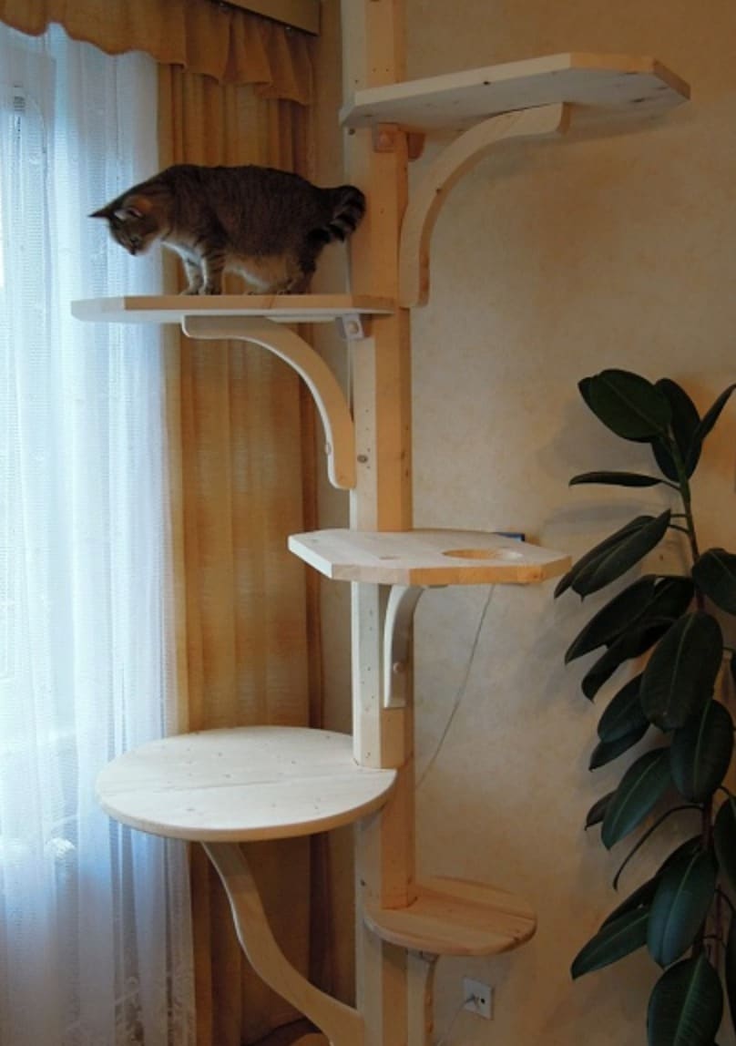 arbre a chat design bois ligne fine tcheque