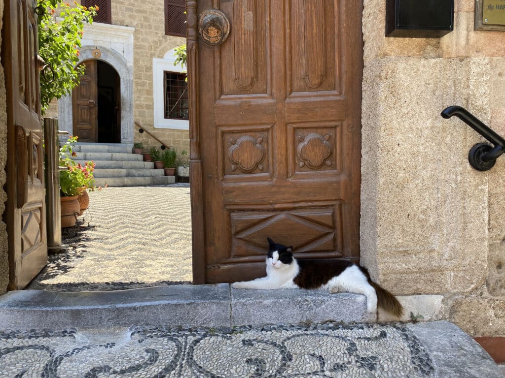 chat rhodes entree bibliotheque musulmane