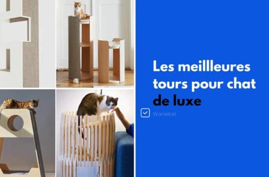 meilleure tour luxe chat