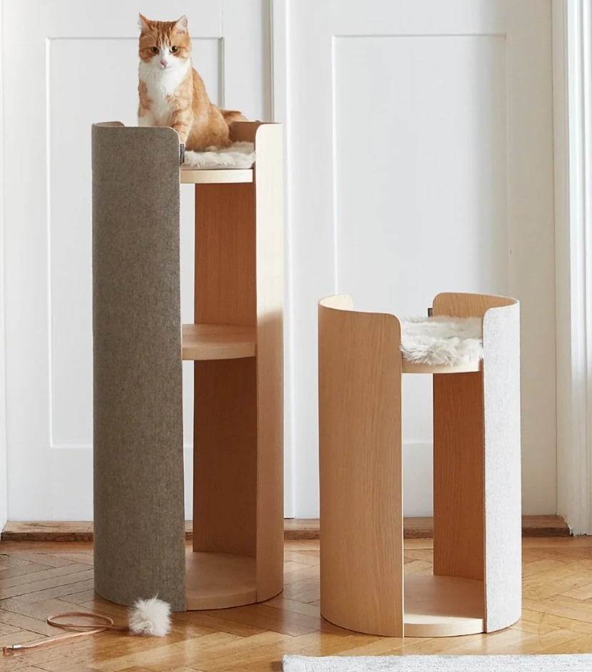 tour luxe pour chat facades arrondies