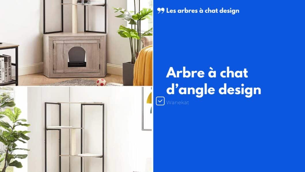 arbre a chat d angle design