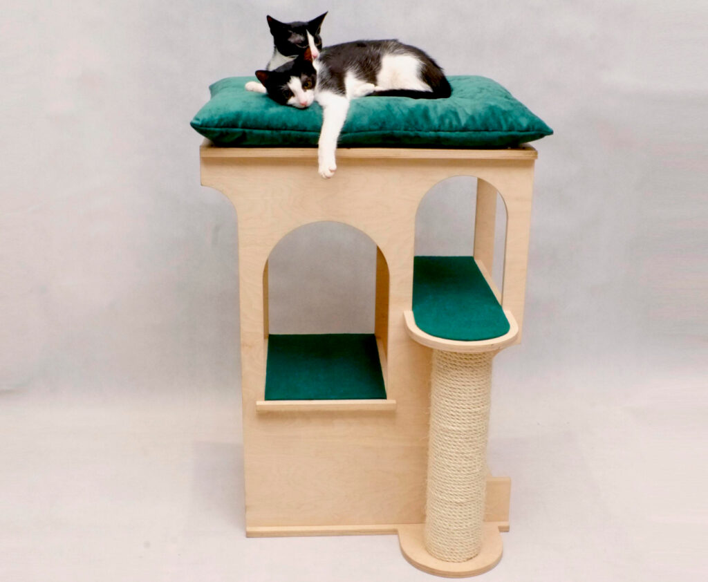 meilleur arbre a chat design contemporain arc de voute