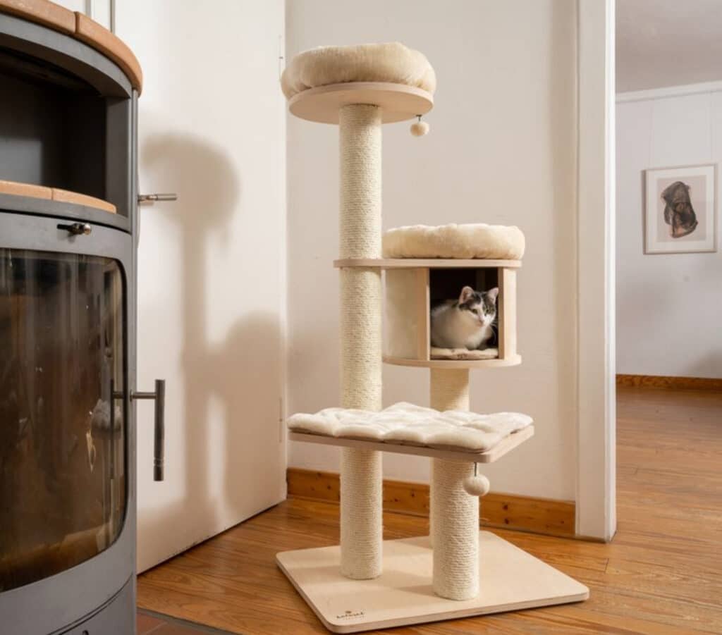 meilleur arbre a chat design contemporain bois clair