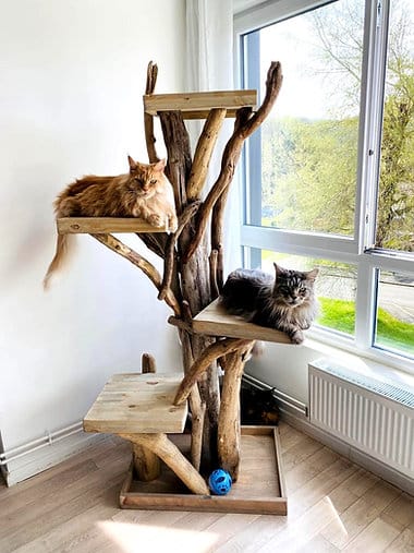 meilleur arbre a chat design contemporain bois flotte