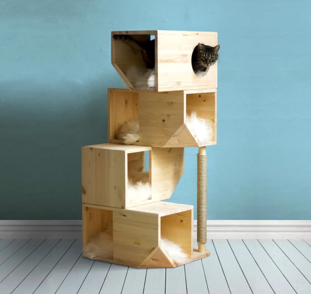 meilleur arbre a chat design contemporain bois massif