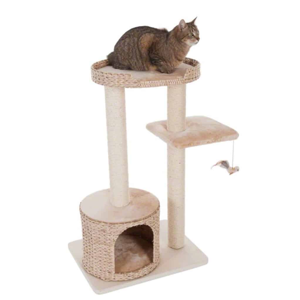 meilleur arbre a chat design contemporain jacinthe