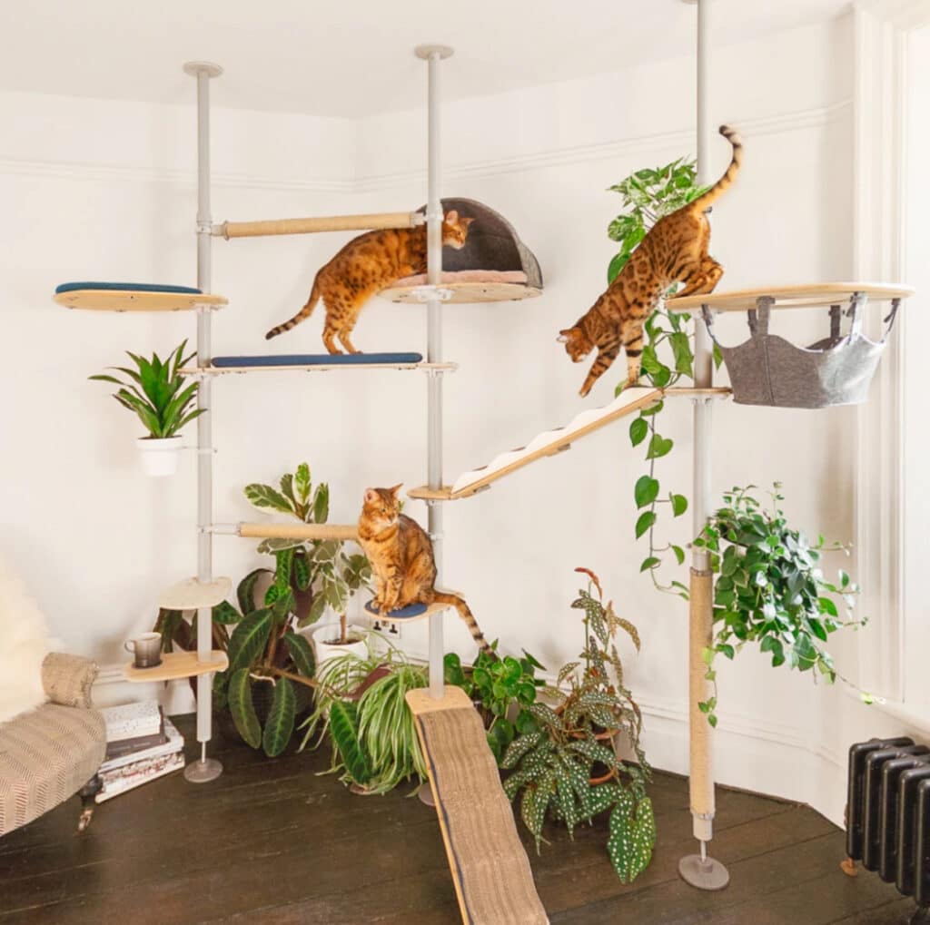 meilleur arbre a chat design contemporain personnalisable