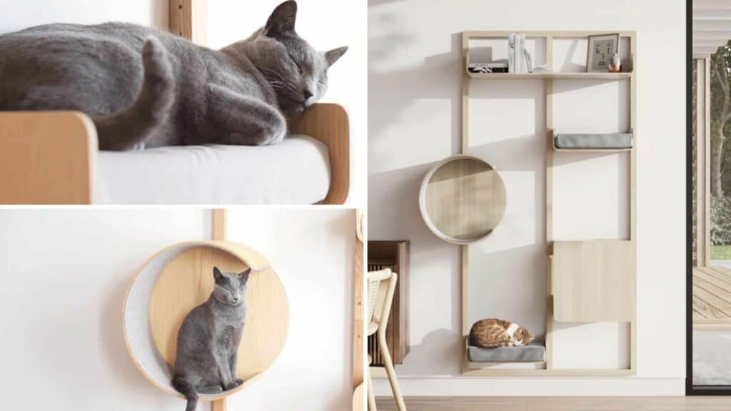 meilleur arbre a chat design contemporain veritable scandinave