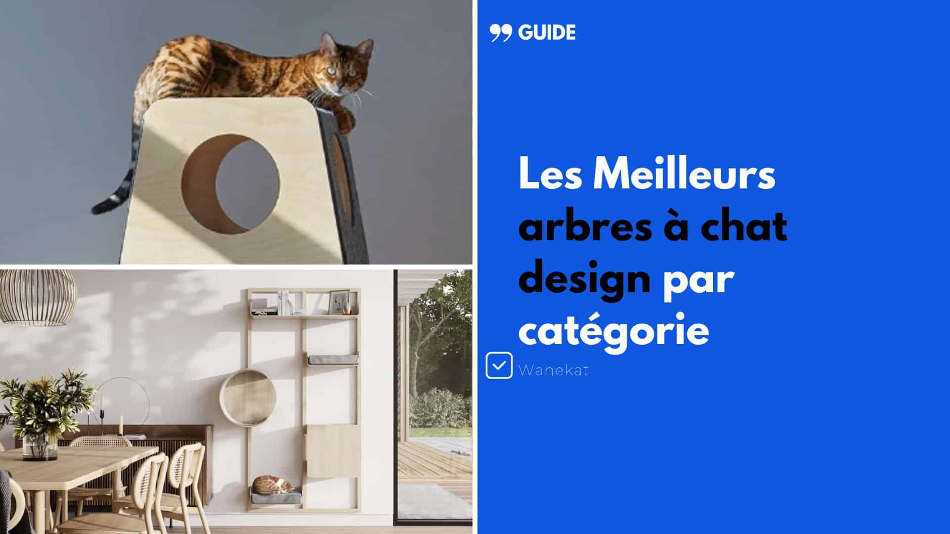 meilleurs modeles arbre a chat design contemporain