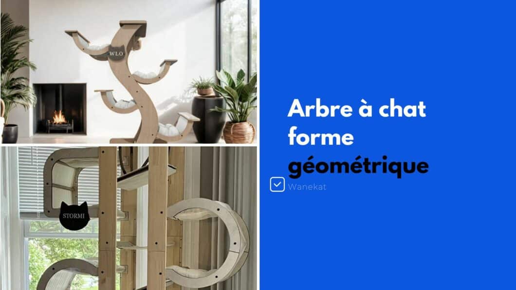 arbre a chat design geometrique