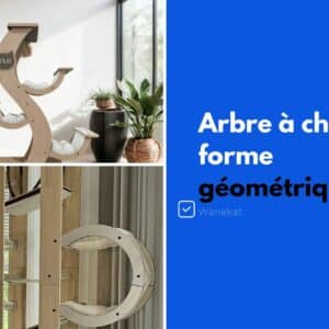 arbre a chat design geometrique