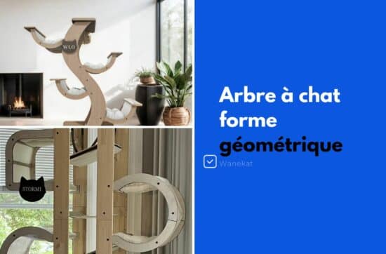 arbre a chat design geometrique