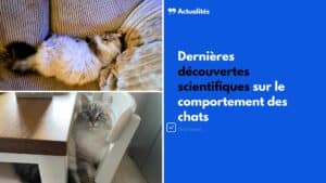 decouvertes scientifiques chat comportement 2025