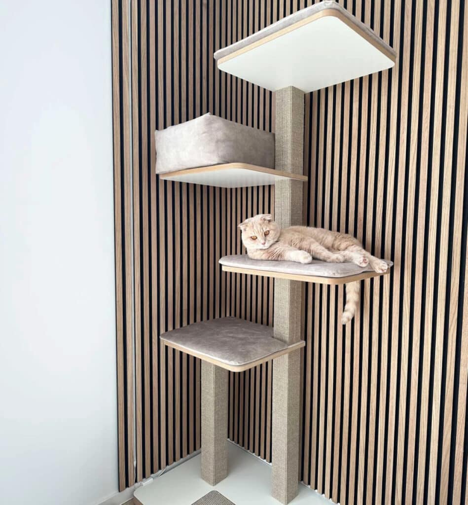 arbre a chat allemand aux tons scandinaves avec un bois clair