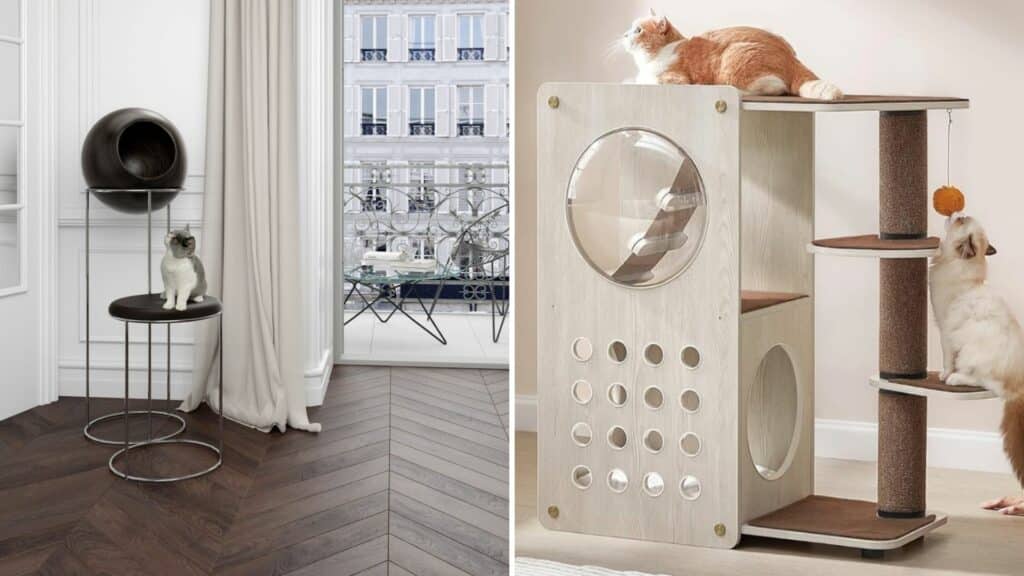 arbre a chat design pas cher ou de luxe
